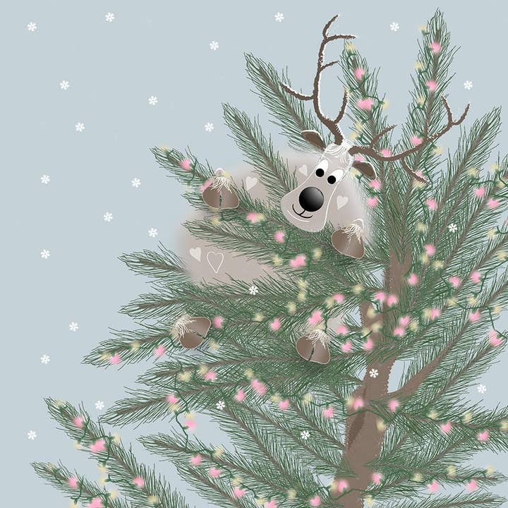 Aquí arriba para venta al por mayor de Sophie Morrell