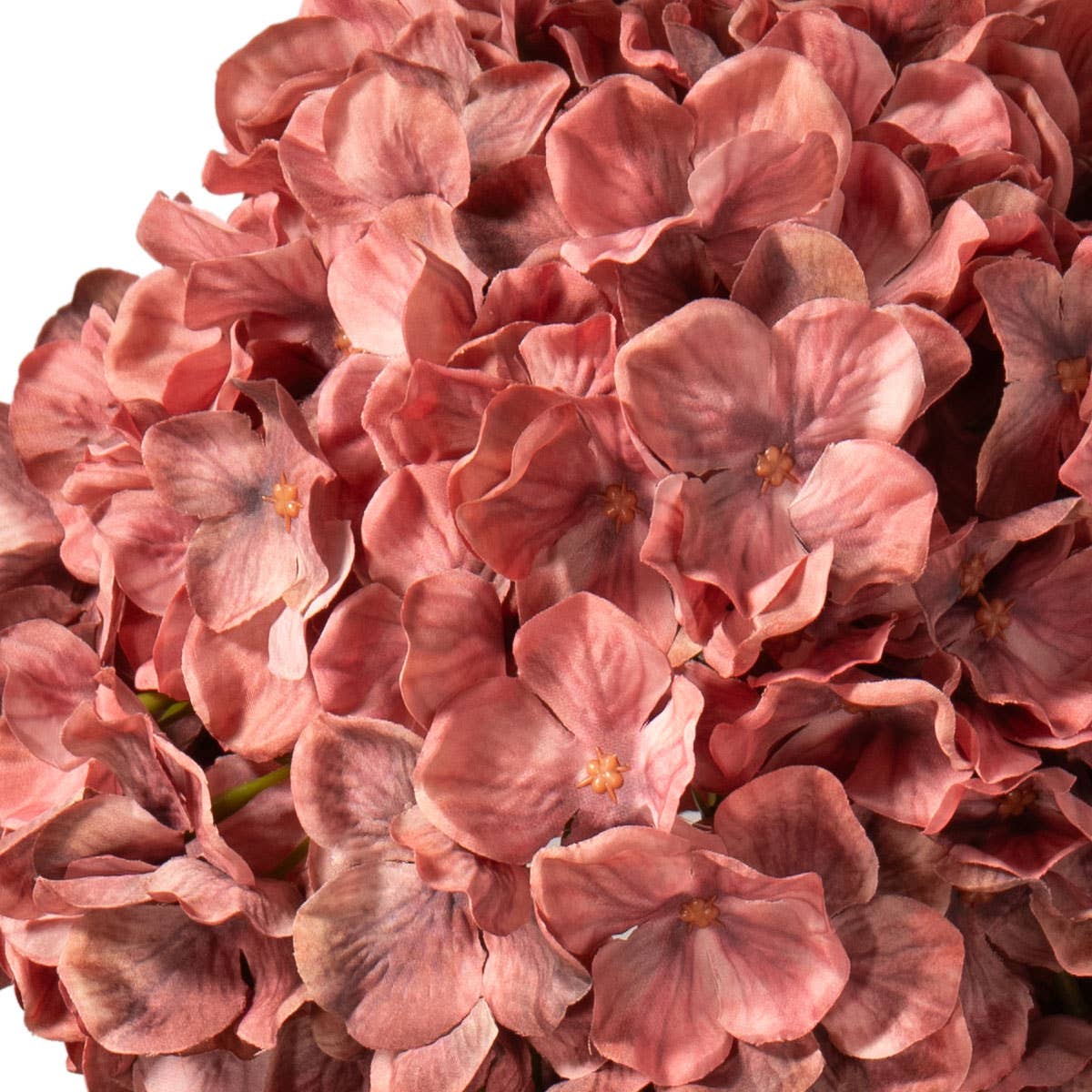 Eleganza Floral – wholesale Artificial flowers – Large Head Hydrangea Vintage Rose2