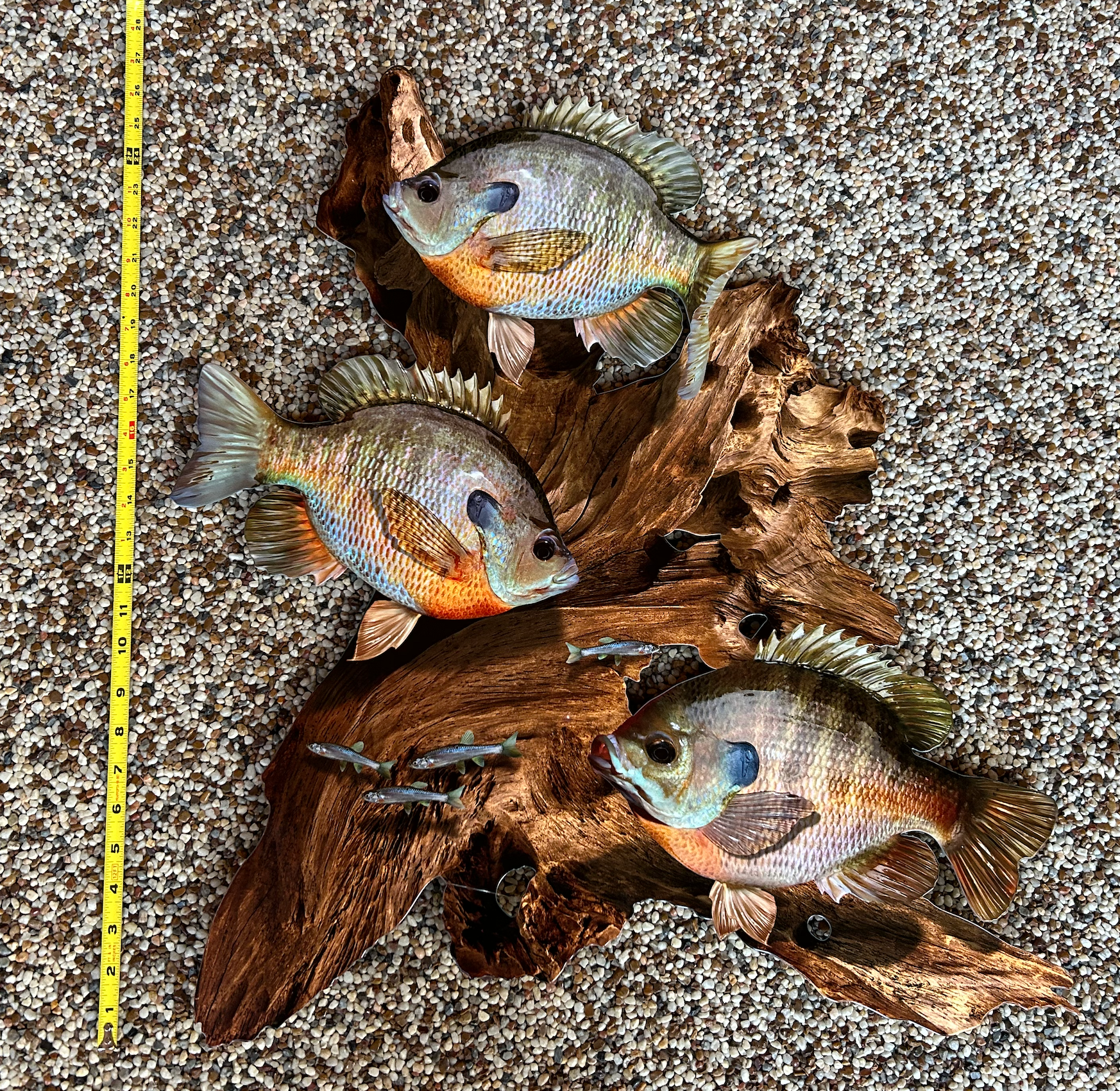 Reelistic Replicas - Wholesale Wall Accent - Bluegill Replica Driftwood Scene Rustic Home Decor, 2D Metal2