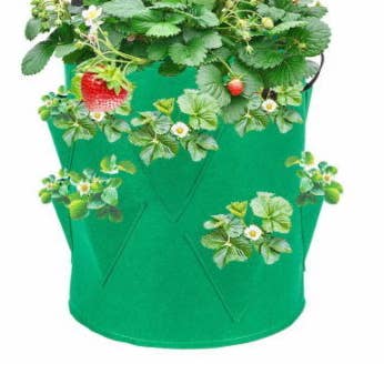 Plantenzak voor aardbeien of sla voor wholesale door Éco-conseils