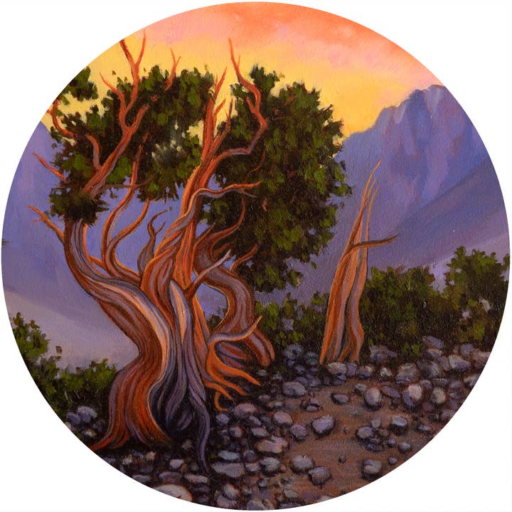 Bristlecone kunstdruk voor wholesale door Moni Ellee Art