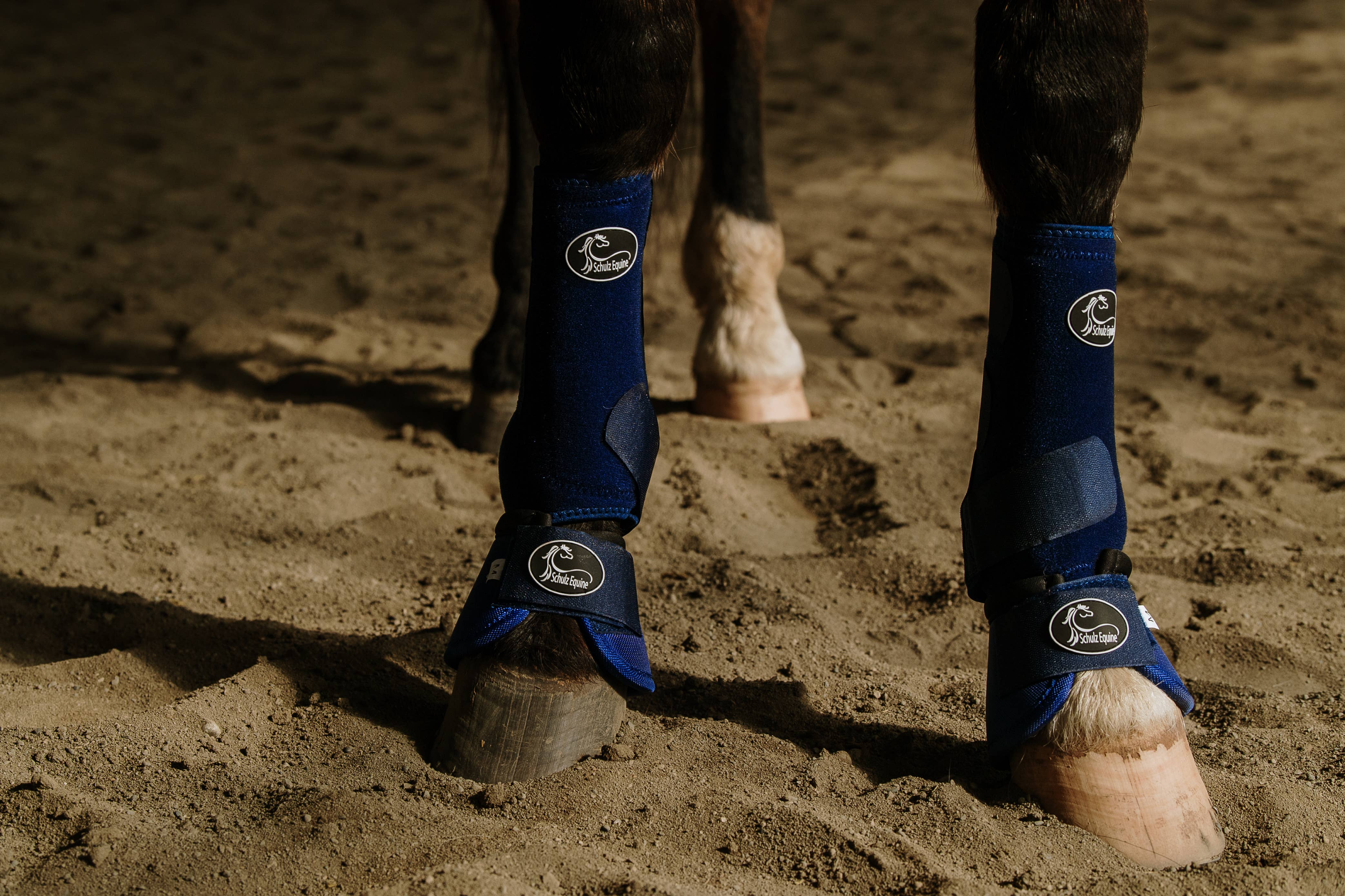 Schulz Equine – wholesale Ridutrustning – Schulz Equine bell boots med livfulla mönster9