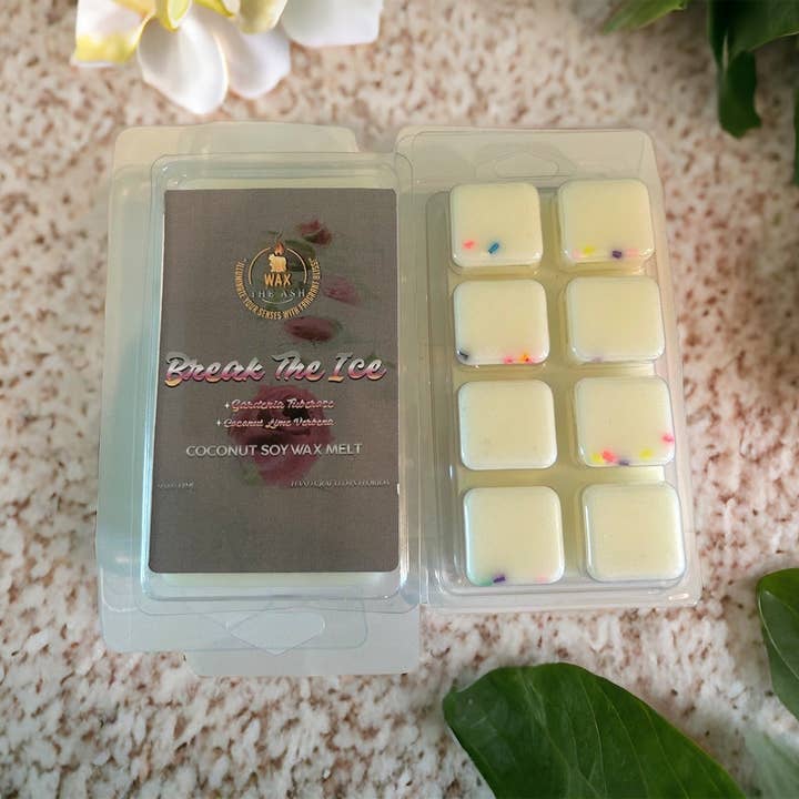 ROMPI IL GHIACCIO CERA FUSA per la vendita all'ingrosso da parte di Wax the Ash Candle LLC