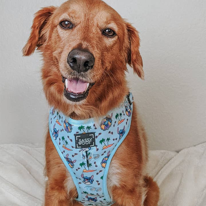 SASSY WOOF - Wholesale Pet Harness - Dog - Dog Adjustable Harness - Disney's Stitch8