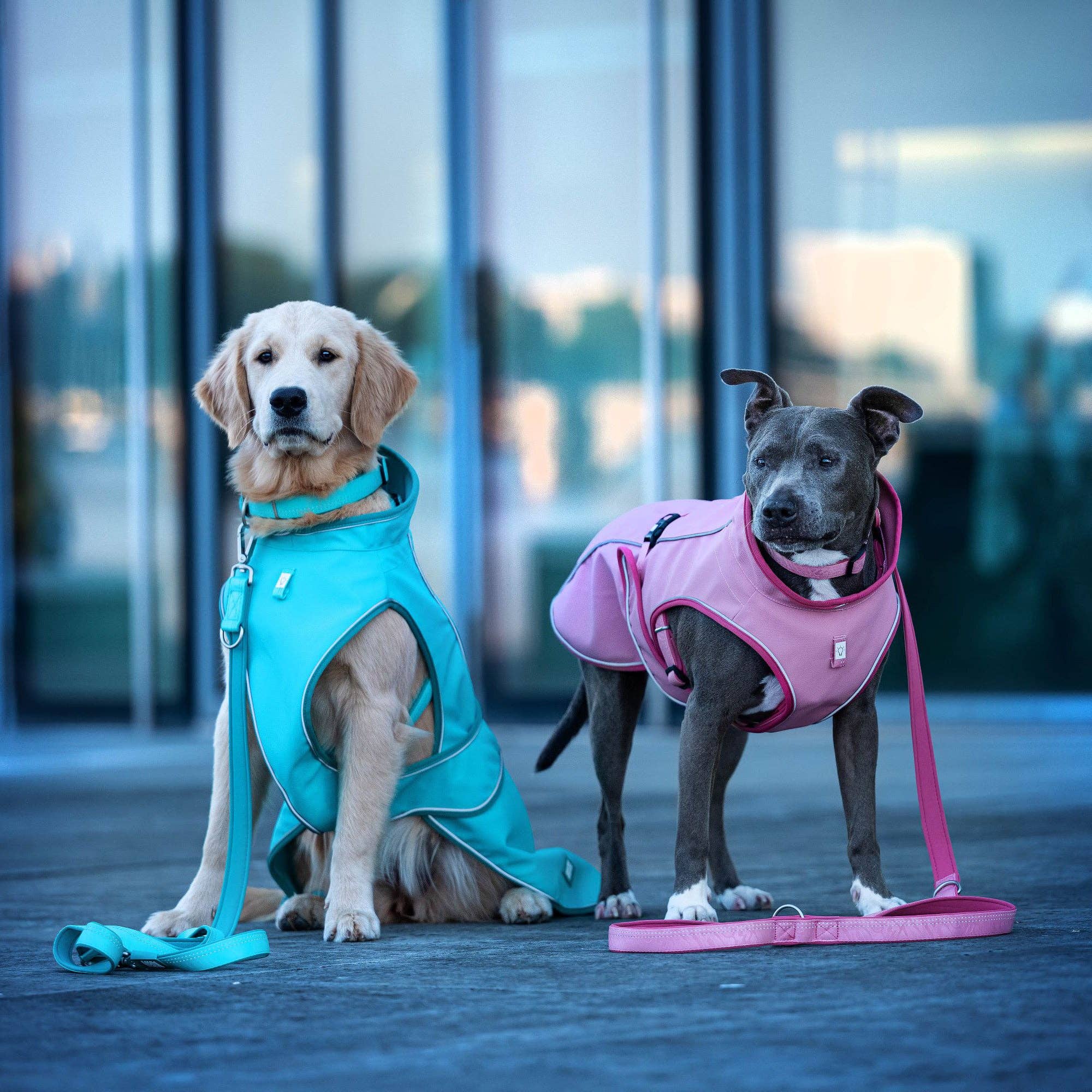 Max & Molly - Wholesale Pet Raincoat - Dog - Raincoat For Dogs - Matrix 2.0 Jade8