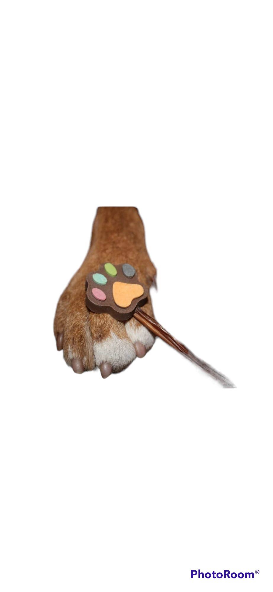 Manufaktur Sweet Crunchy Bit® Handmade DogFood 🐾 - Vente Friandises – chien - Sucettes en forme de patte pour chiens SCB PawlOlly4