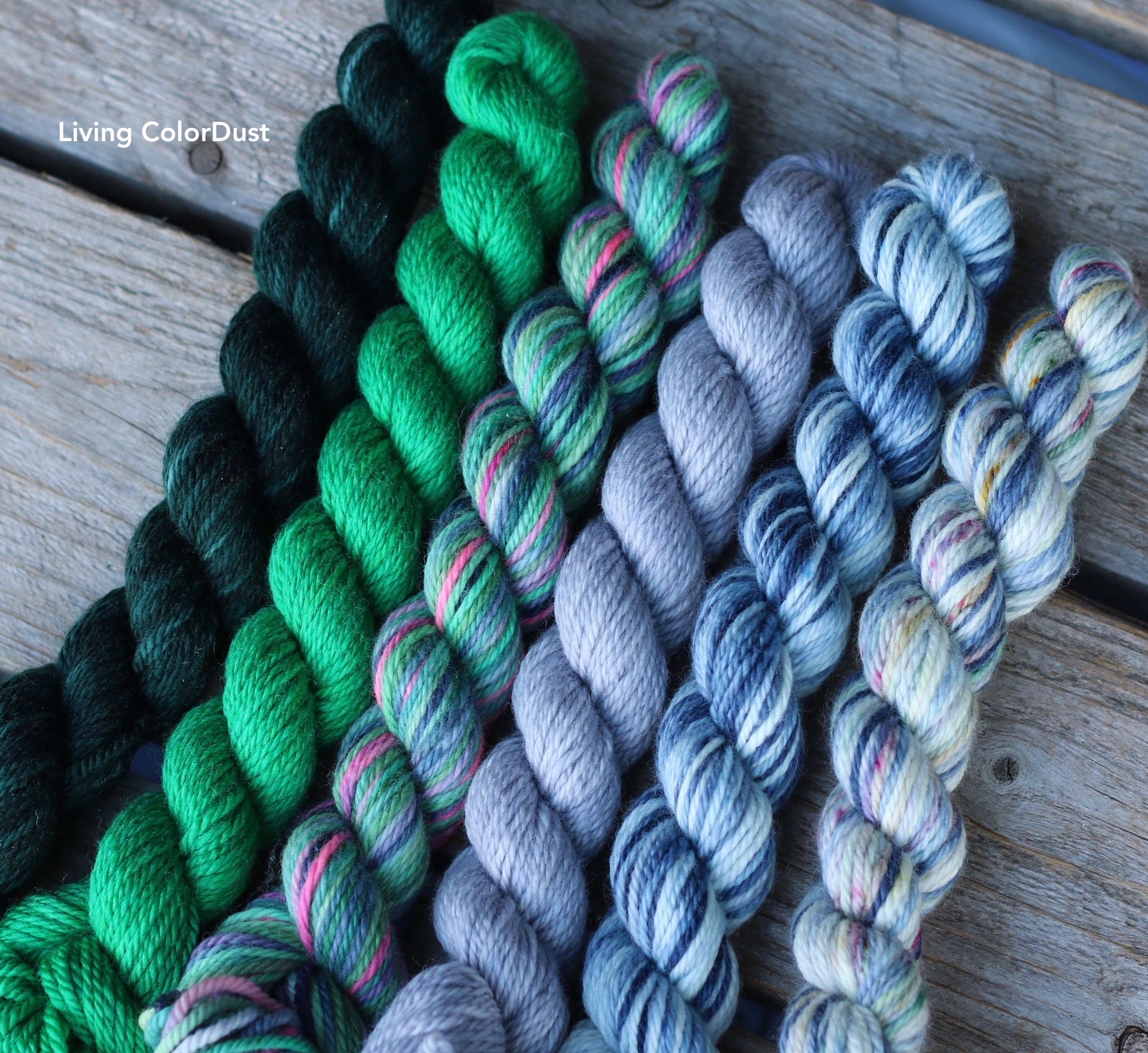 Koigu Wool Designs - Vente Fils à tricoter - Pack de capots ColorDust3