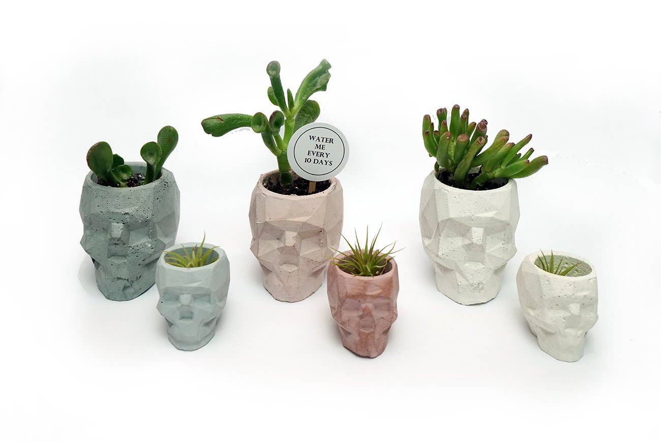 NATURAL BY HAGELSIEB - Wholesale Plant Pot - CONCRETE MINI SKULL8