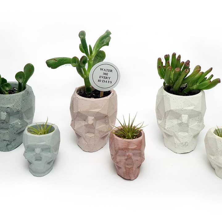 NATURAL BY HAGELSIEB – wholesale Plant pot – CONCRETE MINI SKULL8