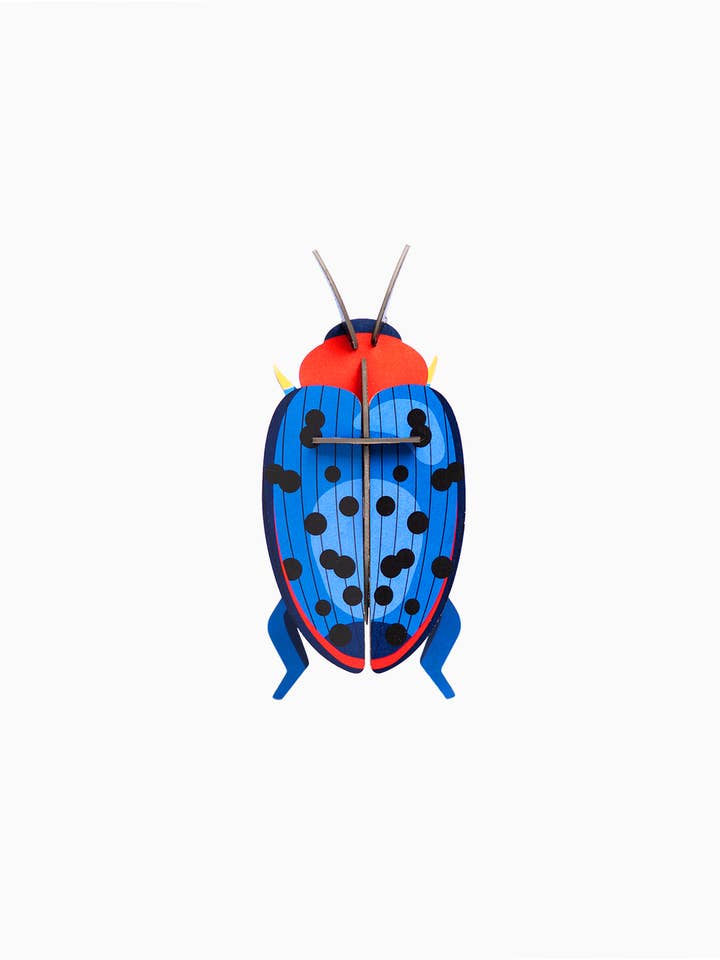 3D Wall Art - Insect - Fungus Beetle for wholesale by Studio Roof (no tariffs)