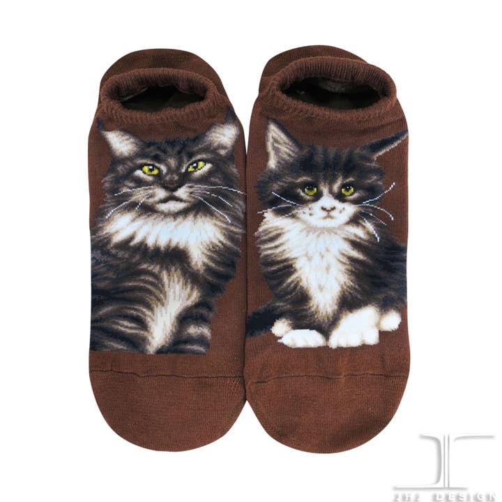 Tornozelos de gato - Maine Coon Brown por atacado de JHJ International Company Limited