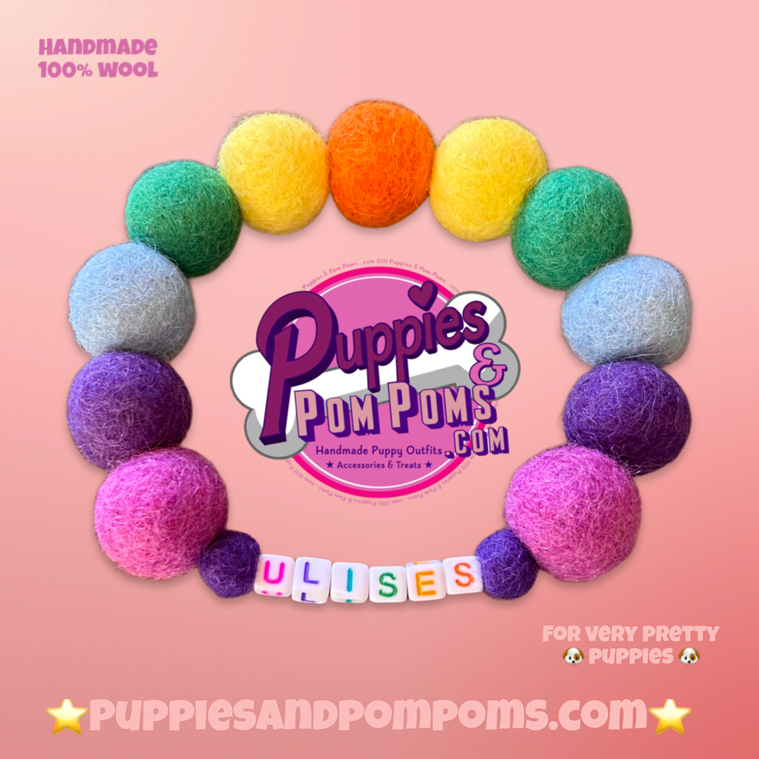 Puppies & Pom Poms - Vente Collier – chien - Collier pour chien personnalisé avec pompons colorés arc-en-ciel 2 cm10