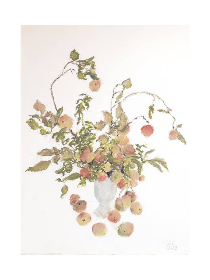 Disegno a Pastello di Rami di Melo per la vendita all'ingrosso da parte di Splendus