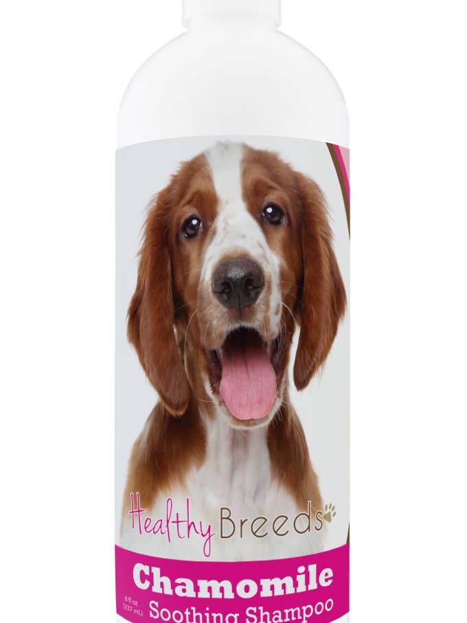 Welsh Springer Spaniel Chamomile Soothing Dog Shampoo 8 oz for wholesale by Healthy Breeds