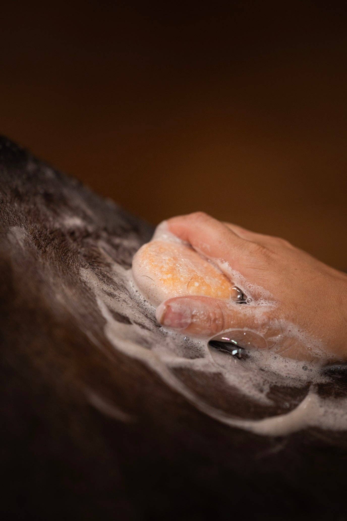 Kensington - Vente Disques de shampoing/shampoings solides - Barre de shampoing entièrement naturelle Bex Bar - paquet de 31