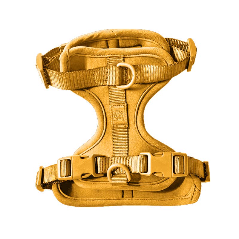 Come Here Buddy – Großhandel Haustiergeschirr – Hund – Leichter, verstellbarer gepolsterter Hundegeschirr10