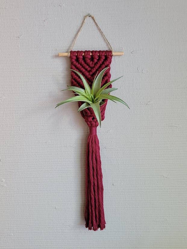 Air Plant Hanger - Corded Mermaid Tail - Burgundy for wholesale by Mother of Pearl Handmade Goods