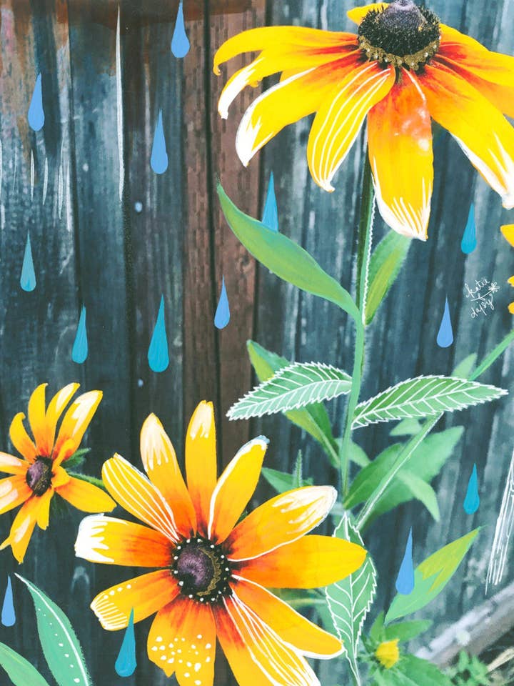 Black Eyed Susan Print for wholesale by Katie Daisy