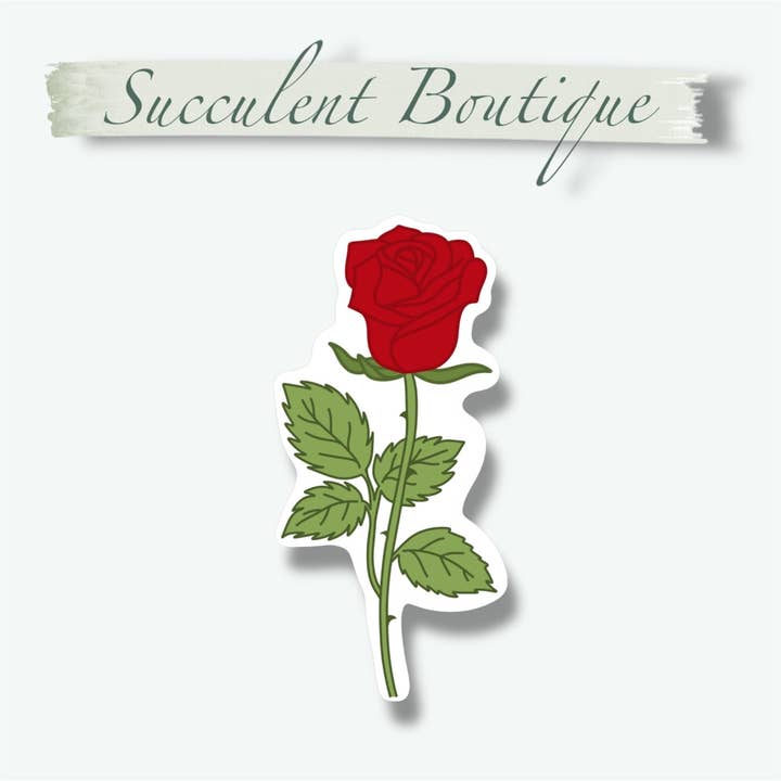 Succulent Boutique - Wholesale Sticker - Valentines Day Mystery Set6