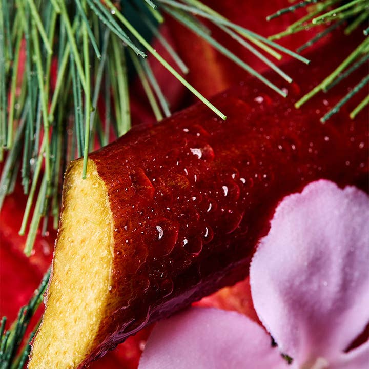 makesy - Wholesale Fragrance Oil - Frasier Fir & Rhubarb Radianceâ„¢ fragrance oil
