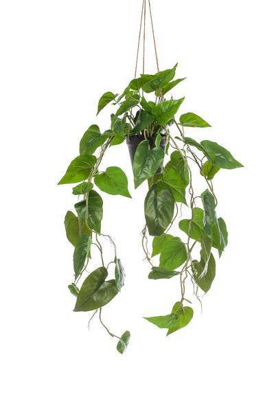 Oasis of Life - Wholesale Artificial plant - Artificial Philodendron Hanging Plant – 80cm Length – Realistic Artificial Houseplant – Evergreen & Easy to Care for – For Living Room, Office & Decoration0