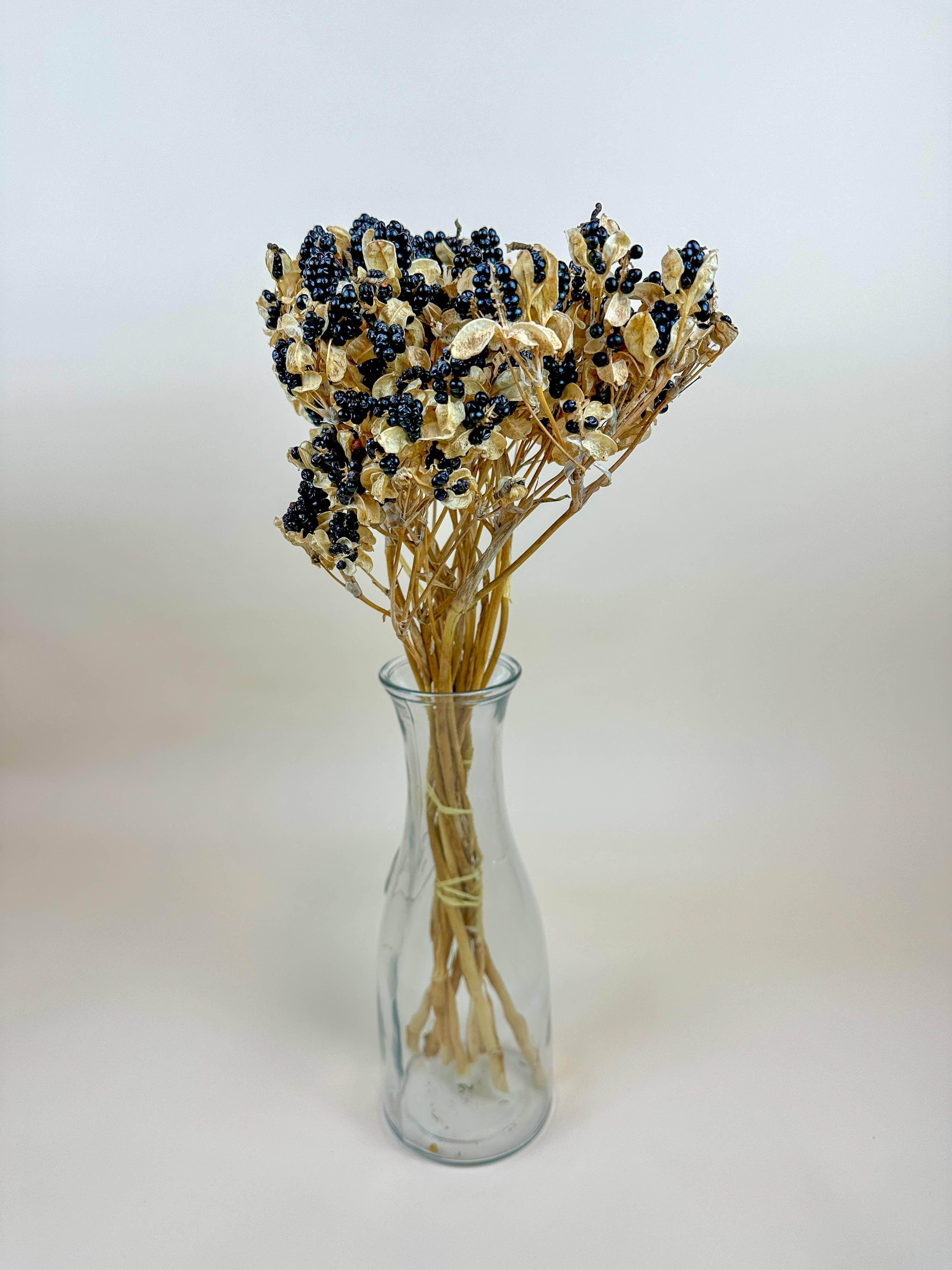 Lovejoy Farms Premium Dried Flowers - Vendita all'ingrosso Fiori secchi/pressati - Blackberry Lilies essiccate naturalmente1