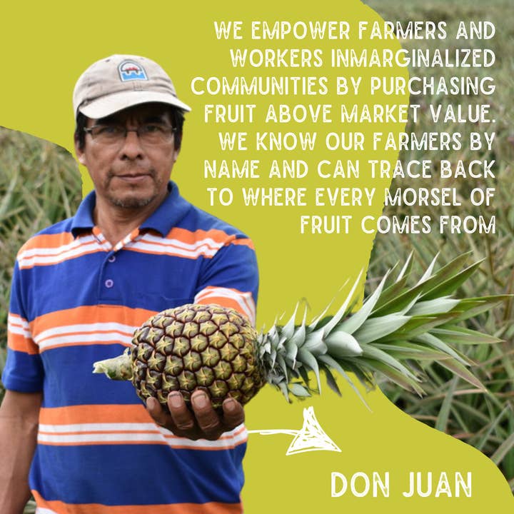 Sol Simple - Venta al por mayor Fruta deshidratada - Piña secada solar con certificación orgánica regenerativa - 3 oz4