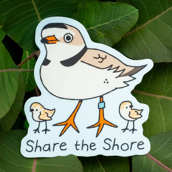 Share the Shore Sticker for wholesale by Camp Mustelid