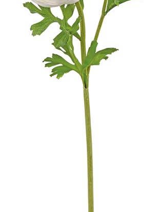 Natural Touch Ranunculus Spray, X1 W/Bud, 22", White for wholesale by Select Artificials, Inc.