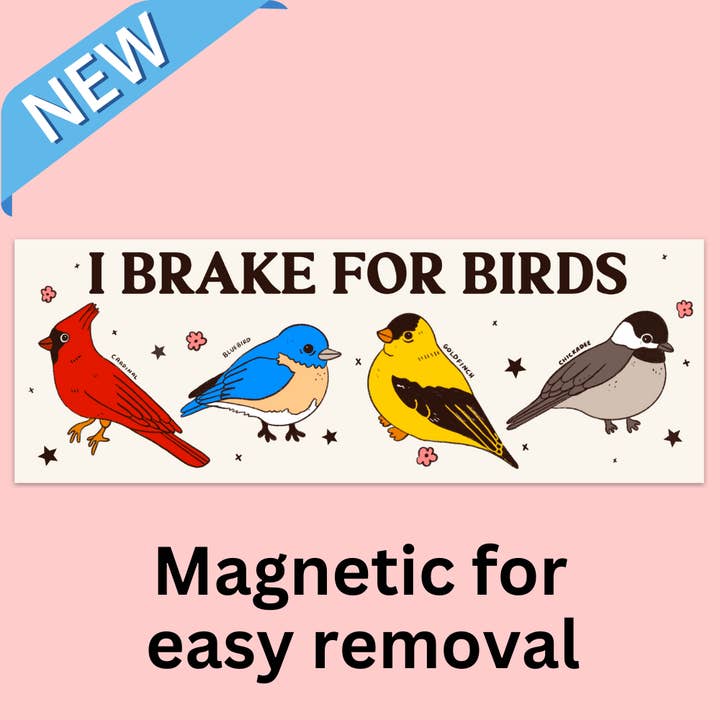 I Brake For Birds Bumper Magnet for wholesale by Tender Ghost