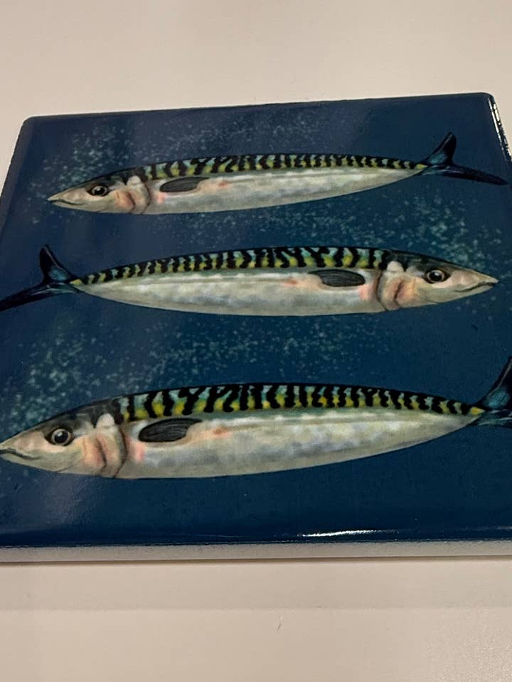 Mackerel Fish Coaster for wholesale by Gullz R Loud