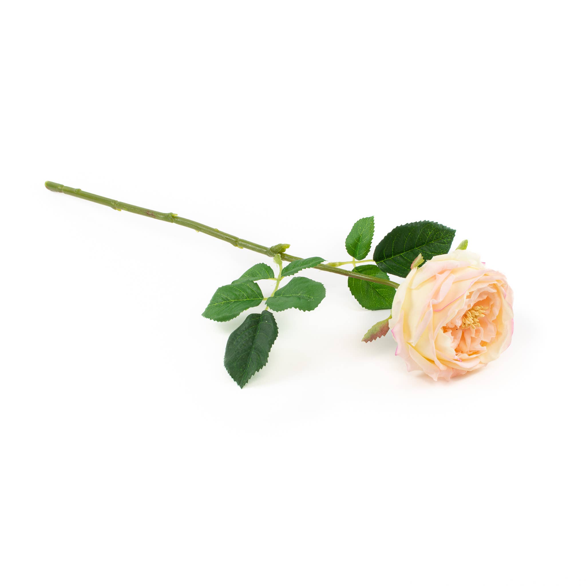 Mills Floral Company – wholesale Artificial flowers – Real Touch Blush Pink 17" English Rose2