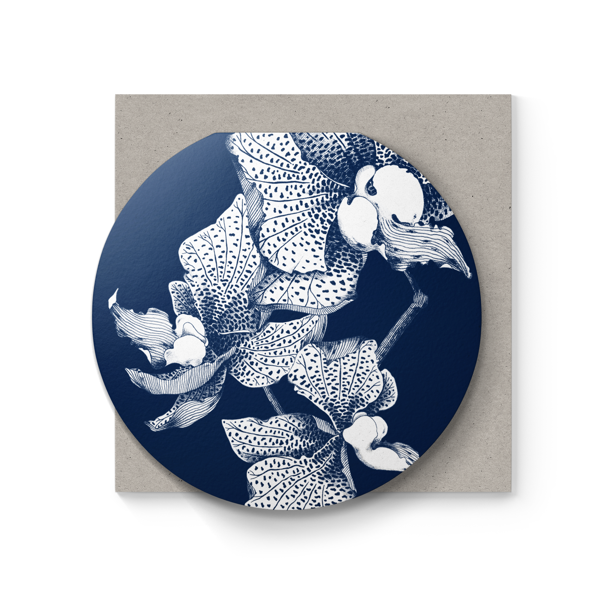 Dear Beni - Wholesale Everyday Greeting Card - Classic Orchid 5.5" Clamshell Card2