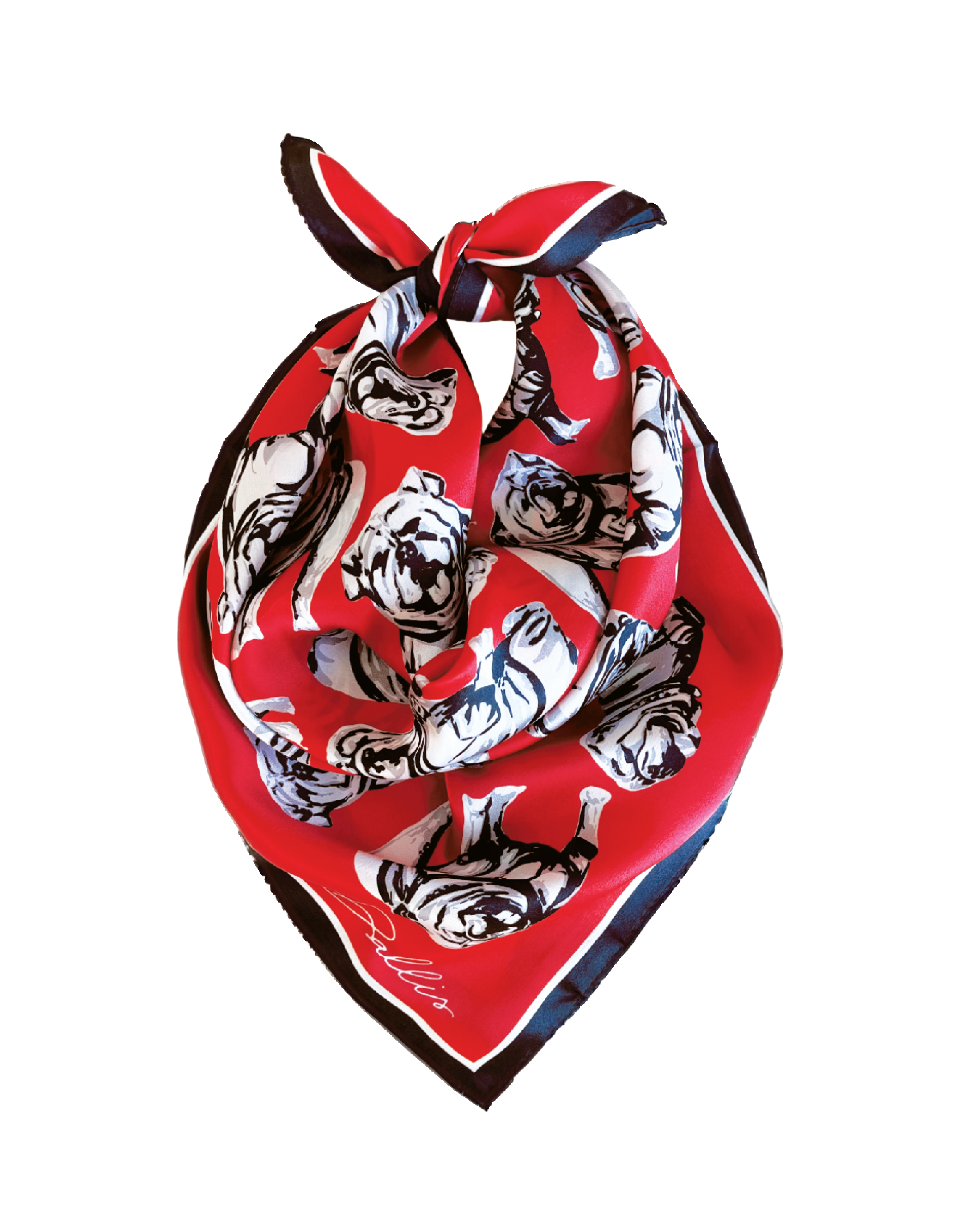 Dallis Foshee Art & Design, LLC - Wholesale Scarf - Women's - Sic 'Em Gameday Scarf | Red1