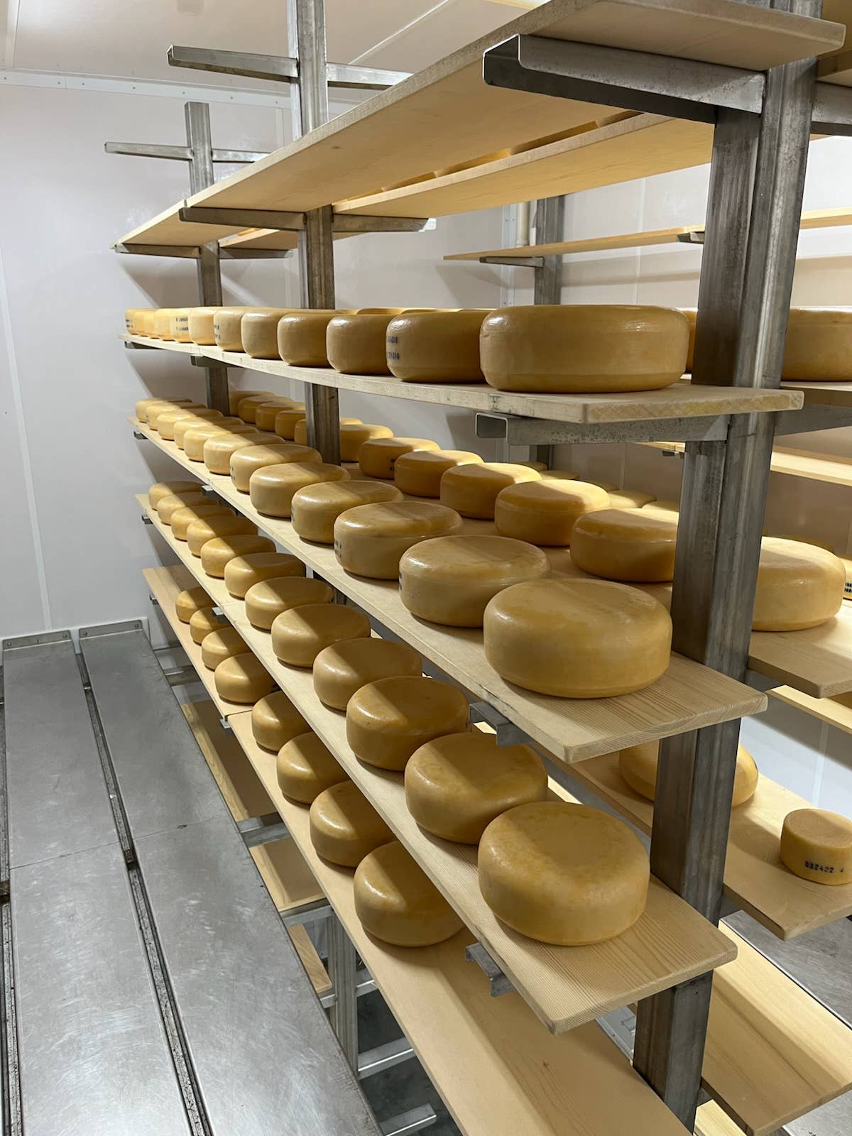 Kasemeister Creamery - Wholesale Cheese - Aged Gouda 4