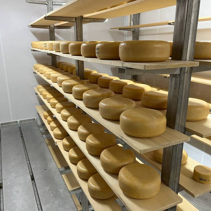 Kasemeister Creamery - Wholesale Cheese - Aged Gouda 4