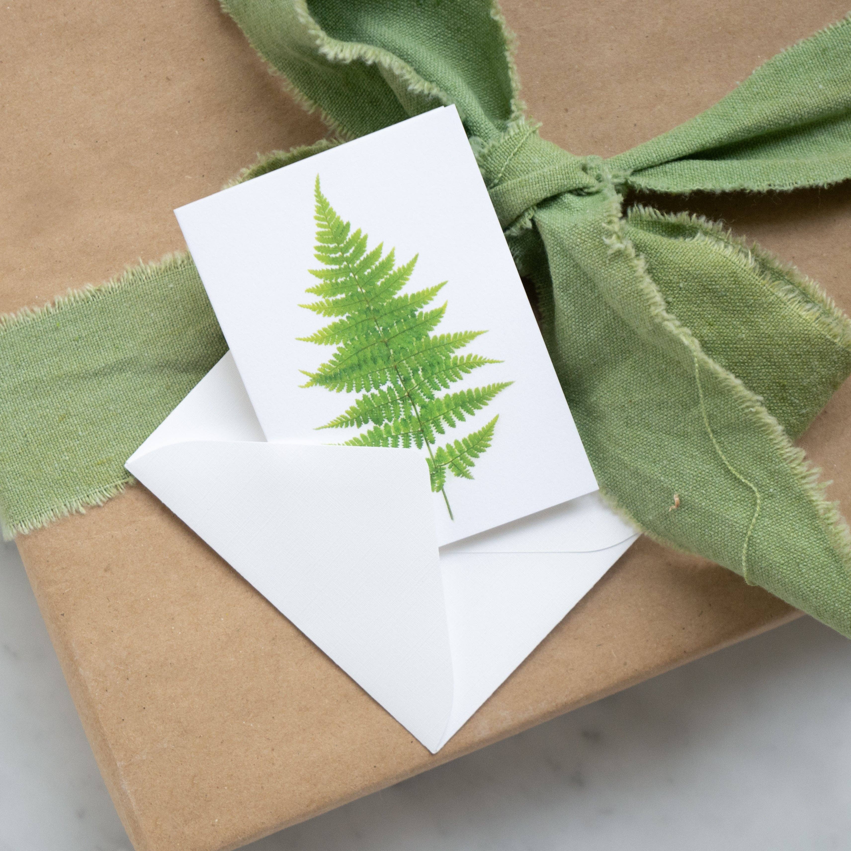 Bottle Branch - Wholesale Everyday Greeting Card - Enclosure card - Fern2
