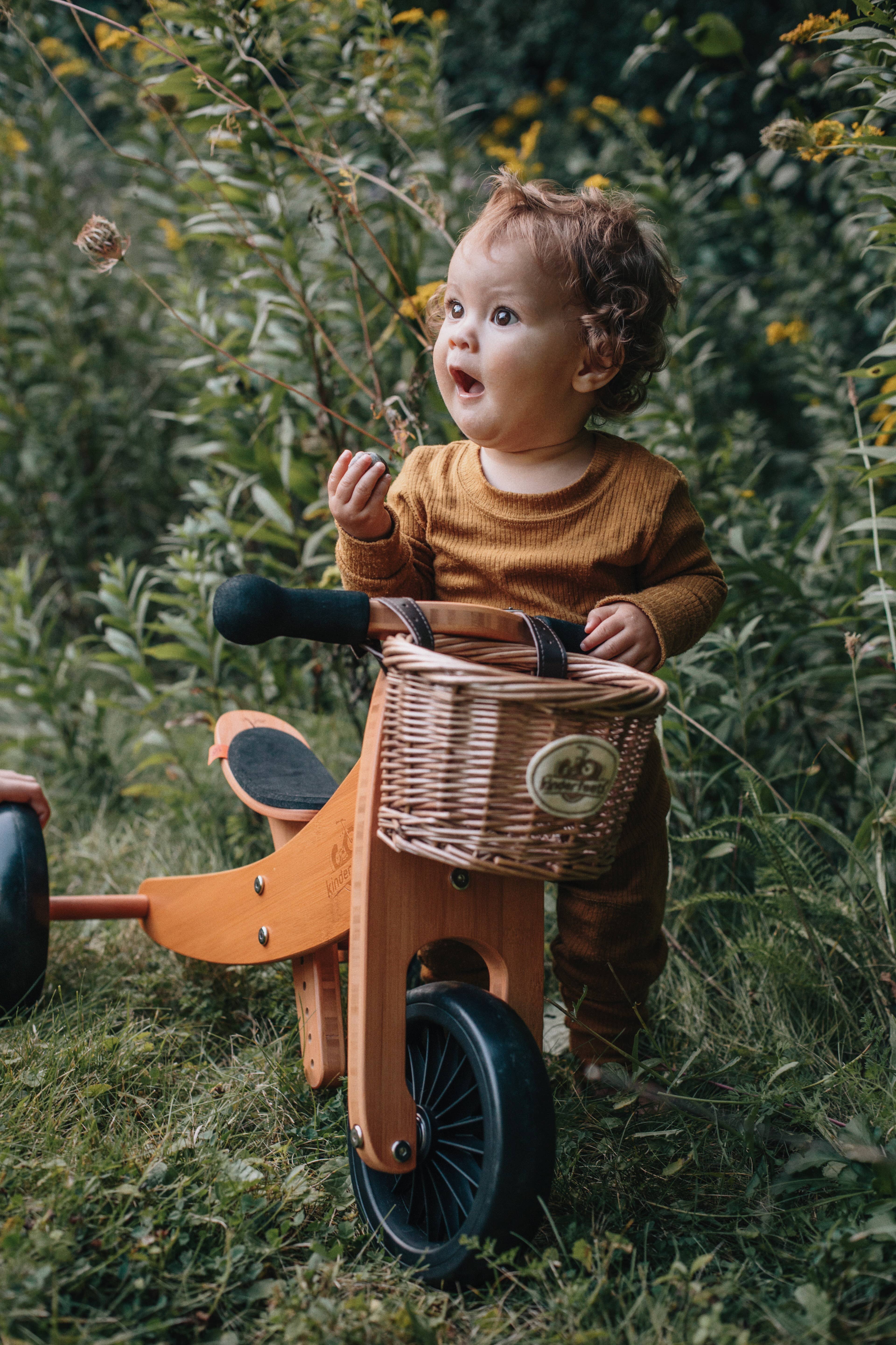 Tiny Tot Plus 2-in-1 Wooden Balance Bike Bamboo for wholesale on Faire3