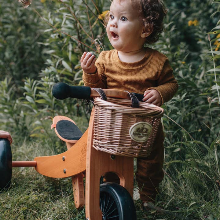 Tiny Tot Plus 2-in-1 Wooden Balance Bike Bamboo for wholesale on Faire3