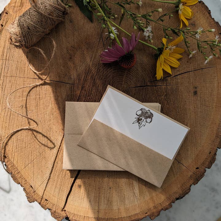 Acorn Letterpress Note Cards (Set of 10) for wholesale by Tussie Mussie Press