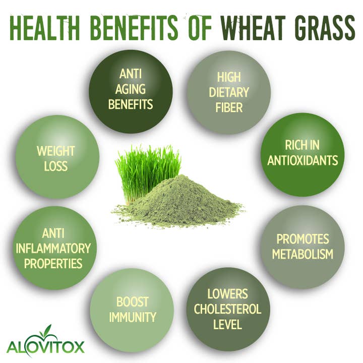 Alovitox – wholesale Powdered health drink – Certified Organic Wheat Grass Juice Powder
