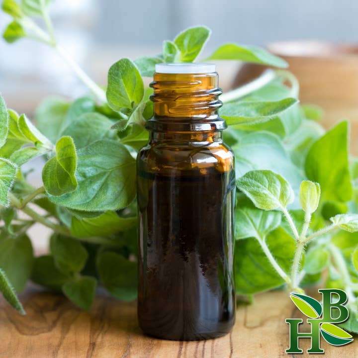 Herb To Body - Wholesale Herbs - Oregano Leaf Powder