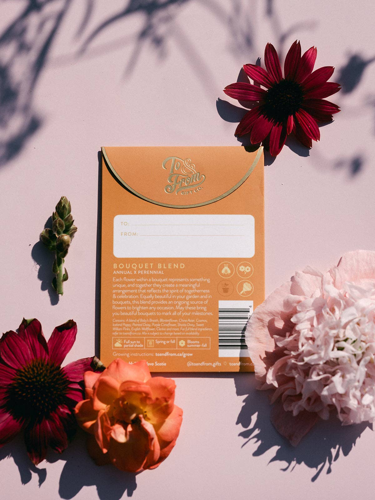 To & From Gift Co. - Wholesale Plant seeds - Grow Your Own Bouquet (Celebrate) - Floriography Seed Packet1
