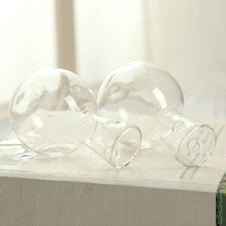 Moderny - Wholesale Planter Box - Wooden Hydroponic Planter4