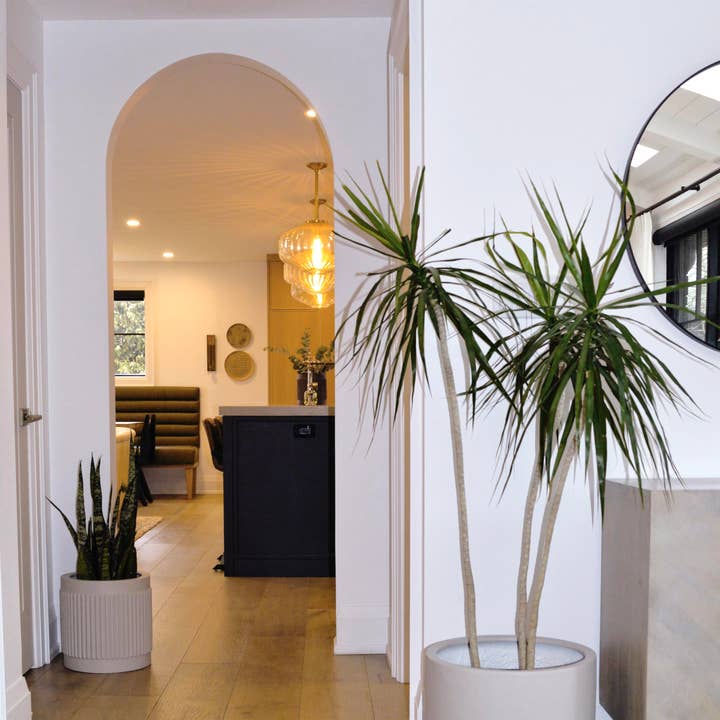 Common House Studio - Wholesale Plant Pot - FLUTED BASE PEDESTAL POT | PLANTER8