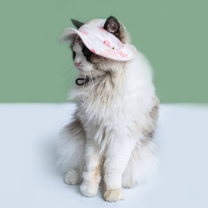 Cheerhunting - Wholesale Pet hat – Dog - Ozzie - Floral Pet Sun Hat4