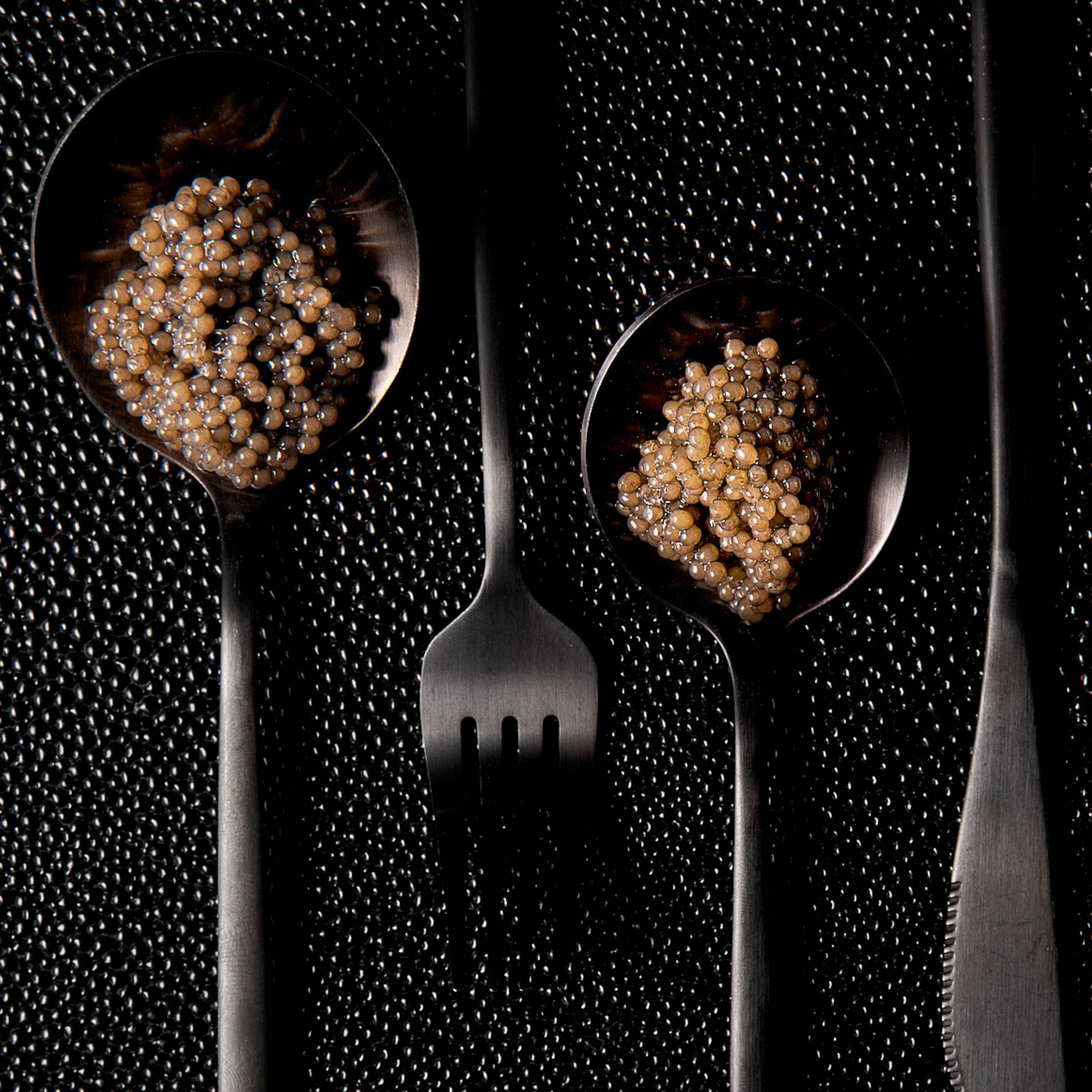 The Caviar Co. - Wholesale Fish/Seafood - Paddlefish Caviar7