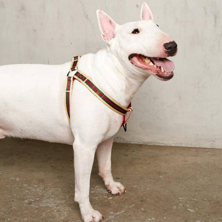 Saint Rue - Wholesale Pet Harness - Dog - Le Classic Dog Harness8