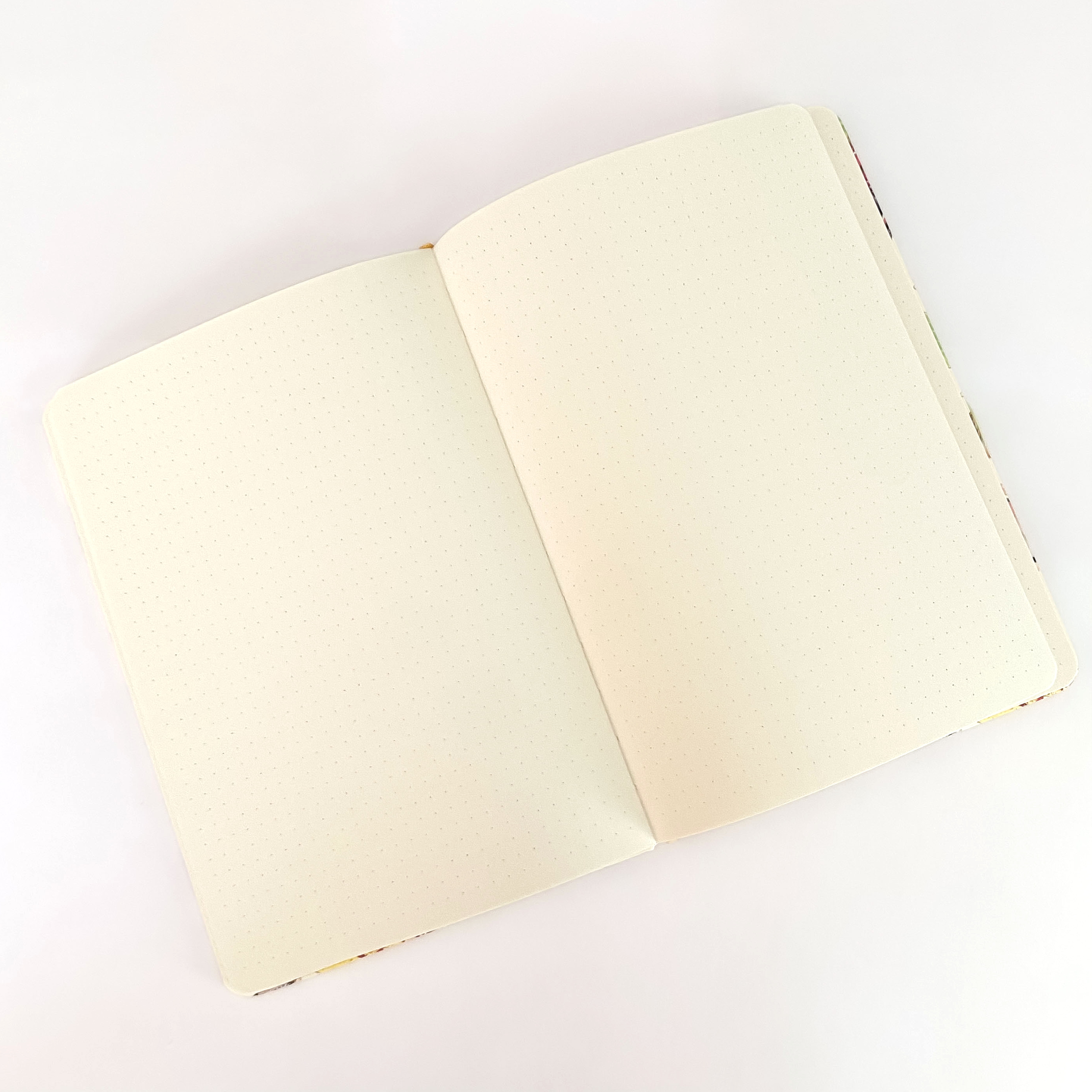 Allison Stoiser Art – wholesale Journal/diary – North American Owls A5 Hardcover Journal1