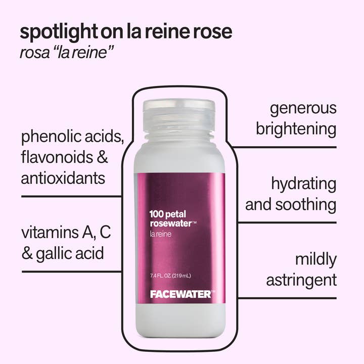 Plant Beauty Distillery - Wholesale Face & Body Mist/Water - 100 Petal Rosewater La Reine4